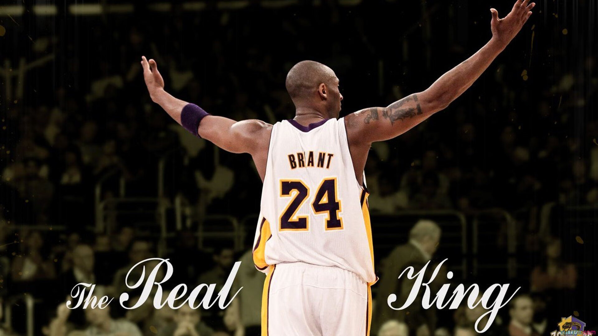 马刺式团队风暴,横扫骑士背后的西亚卡姆火热进化论